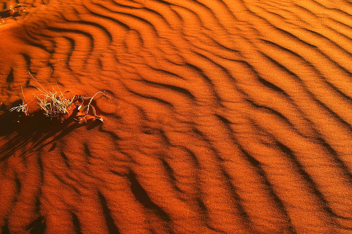 Desert Sand 1200w